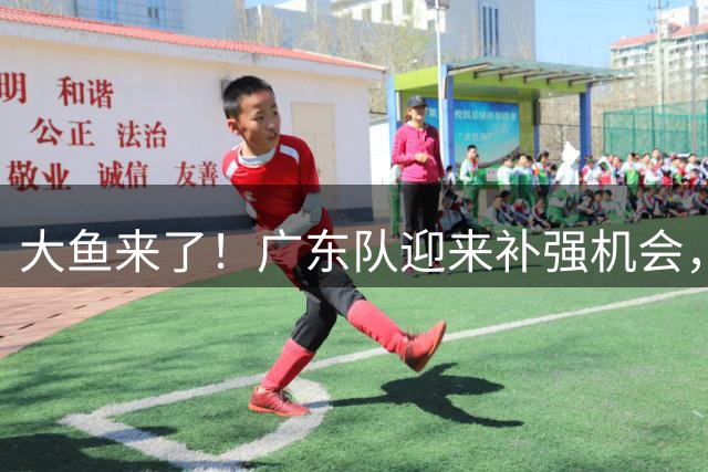 大鱼来了！广东队迎来补强机会，“加强版奎因”有望加盟？