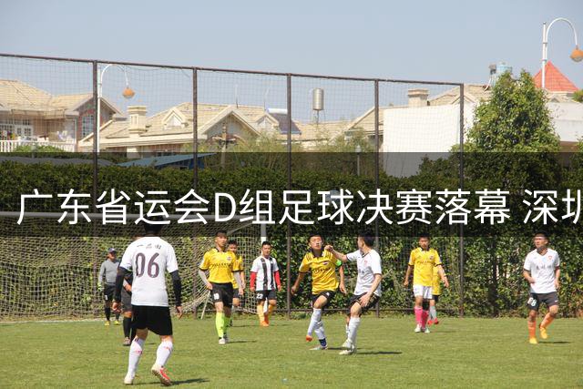 广东省运会D组足球决赛落幕 深圳队力克广州队夺冠